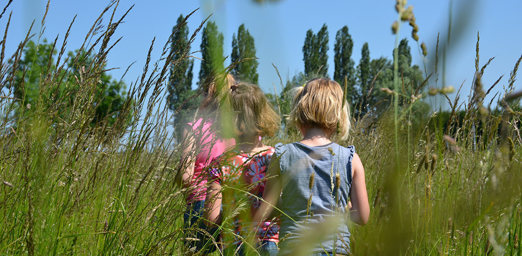 Kinderen lopen door een weiland met hoog gras