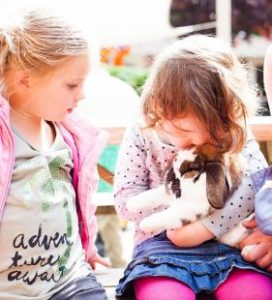 kinderopvang-elst-04jaarspelen