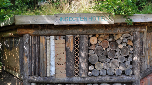Insecten hotel