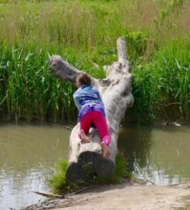 kinderopvang-elst-ditdoenwe-landerij3