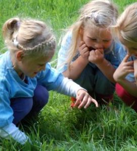 kinderopvang-elst-ditdoenwe-strand2