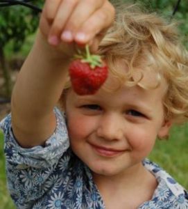 kinderopvang-elst-landerij-info1
